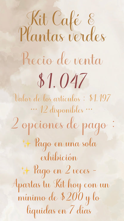 ☕️🧋🌿✨ KIT CAFÉ & PLANTAS VERDES ✨🌿🧋☕️