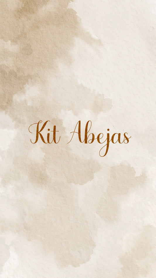 🍯🐝🌿✨MINI KIT ABEJAS ✨🌿🐝🍯