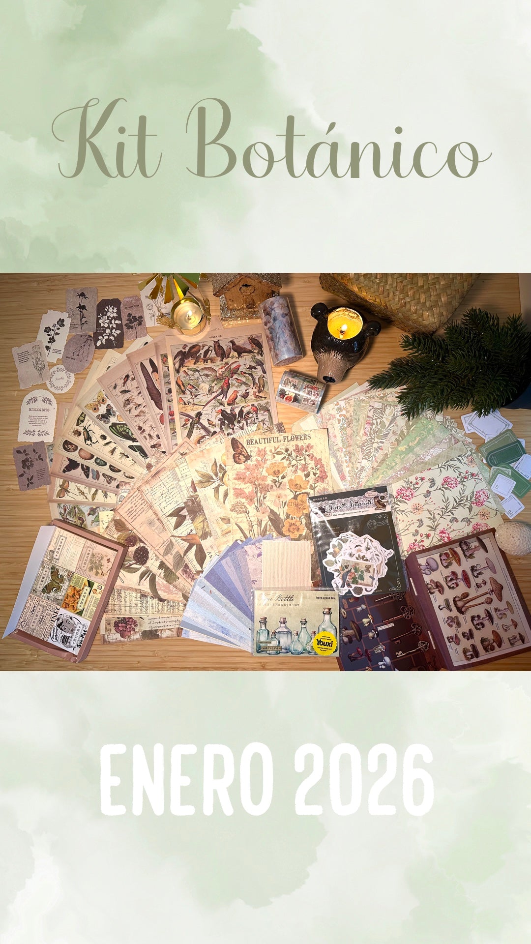 🌿🍃🥀✨ KIT BOTANICO ✨🥀🍃🌿