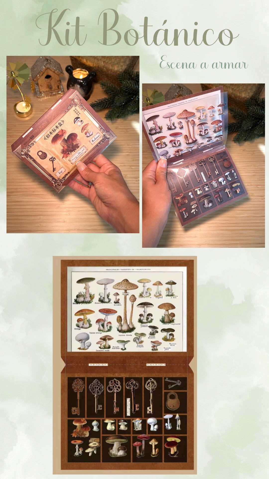 🌿🍃🥀✨ KIT BOTANICO ✨🥀🍃🌿