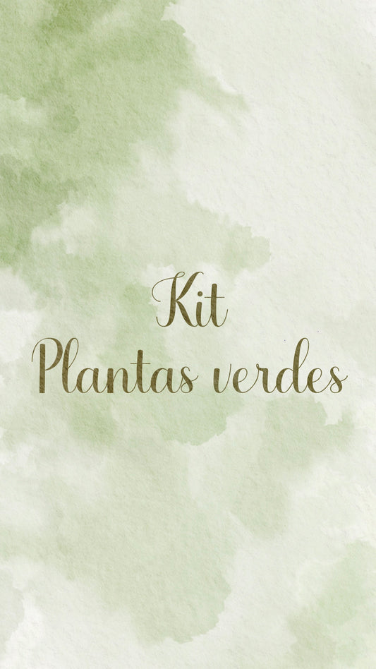 🌿🪴 KIT PLANTAS VERDES 🪴🌿