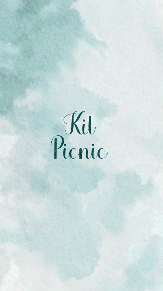 🧺🌿✨ KIT PICNIC✨🌿🧺