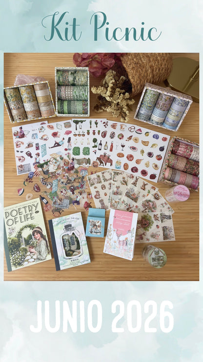 🧺🌿✨ KIT PICNIC✨🌿🧺