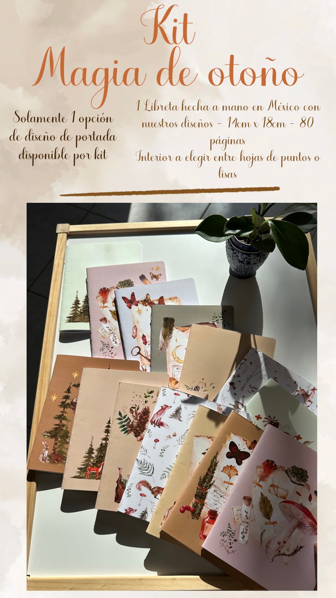 🍁🥮✨ KIT MAGIA DE OTOÑO✨🥮🍁