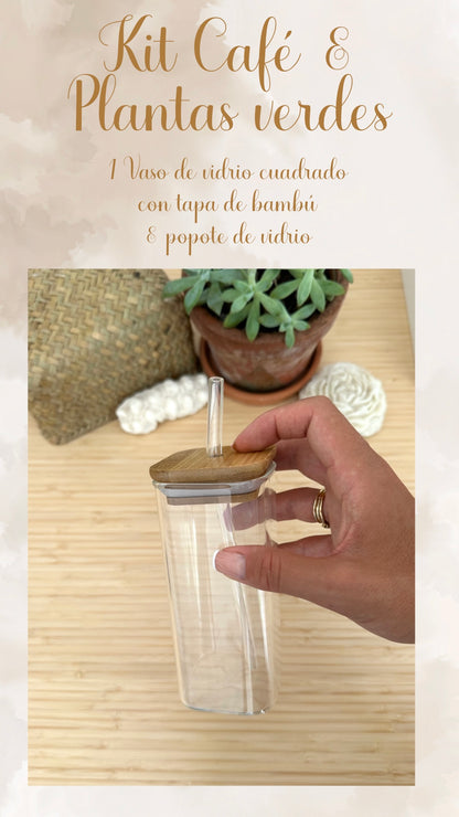 ☕️🧋🌿✨ KIT CAFÉ & PLANTAS VERDES ✨🌿🧋☕️